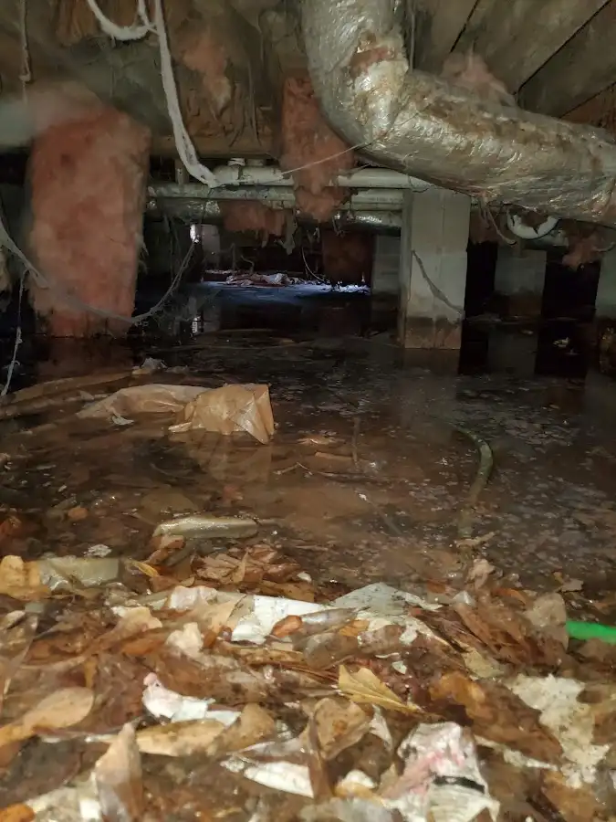 Crawl space flood assessment for Commercial Water Damage Restoration in Clovis