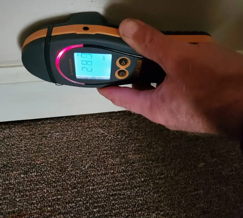 Moisture detection at baseboard during Mold Inspection & Testing in Clovis